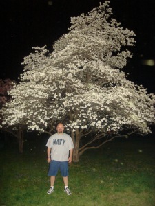 The Cherry Tree and I